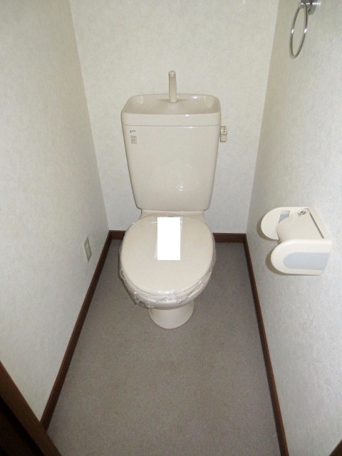 Toilet. Toilet