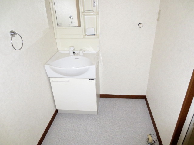 Washroom. Washbasin with shower, Laundry Area