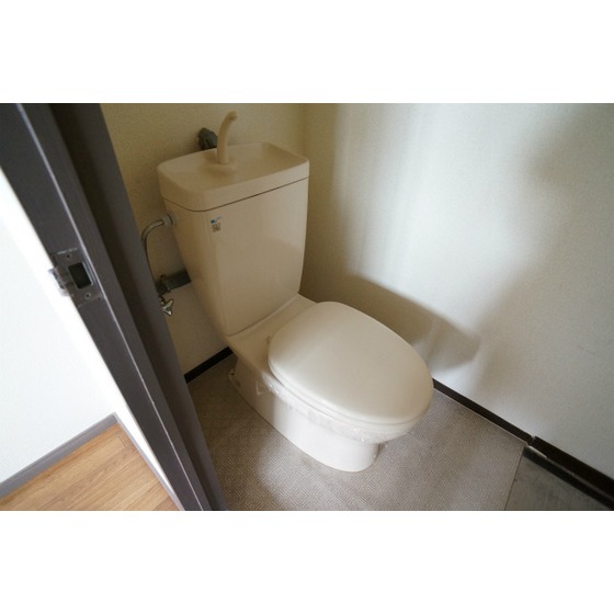 Toilet. Western-style toilet