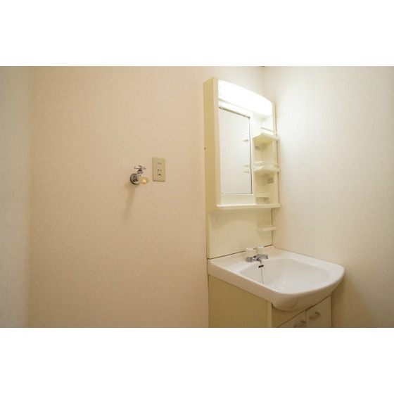 Washroom. Same property separate room photo