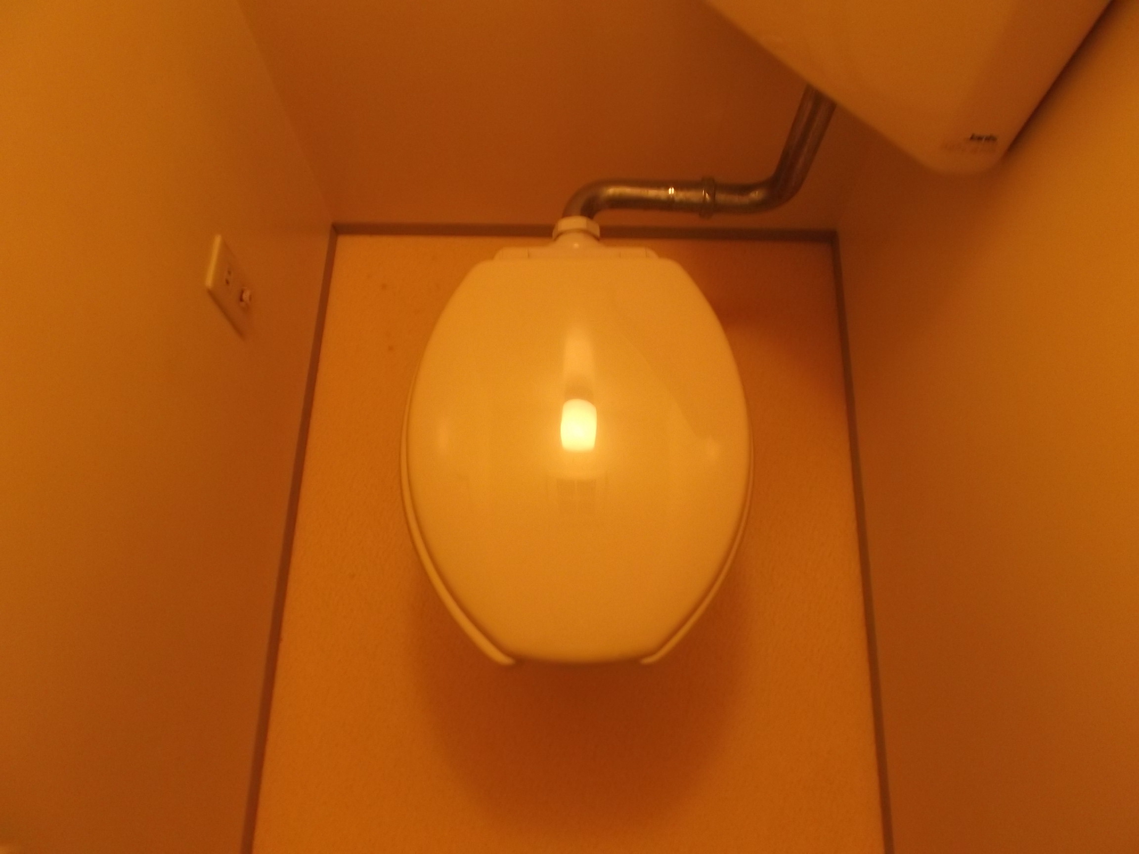 Toilet. Toilet