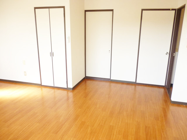 Living and room. Western style room