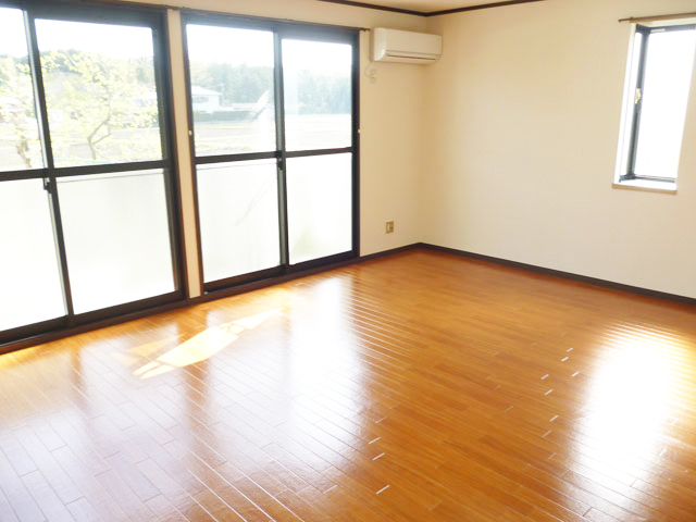 Living and room. Western style room