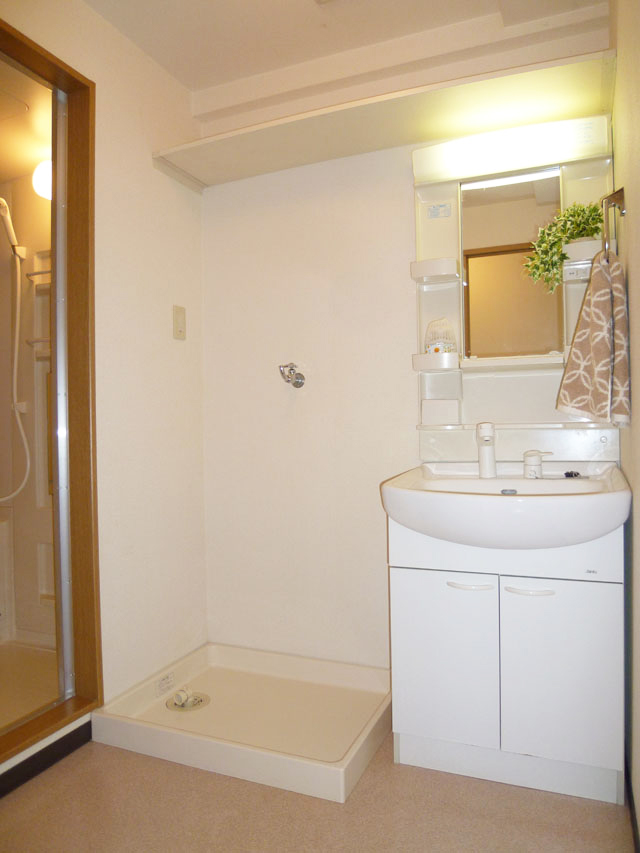 Other room space. Washing machine Storage