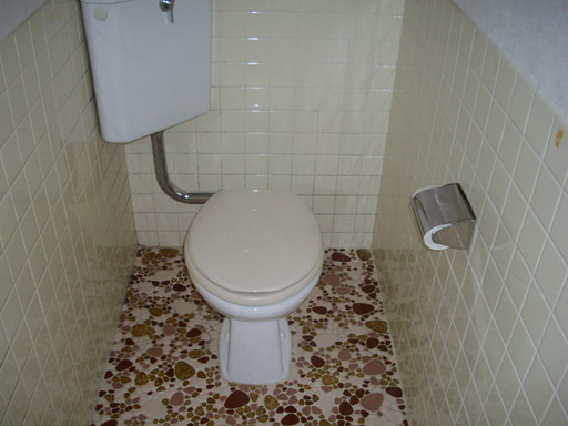 Toilet