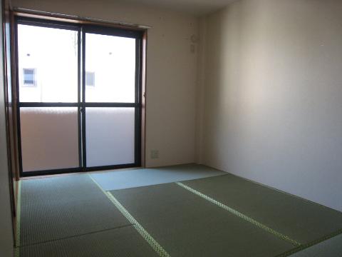 Living and room. Japanese style room