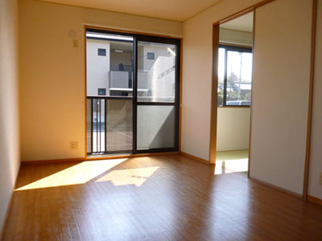 Living and room. LDK