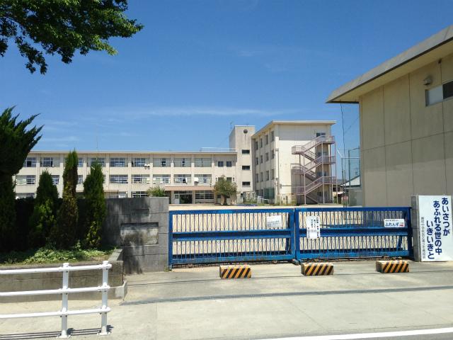 Primary school. Municipal Third Elementary School