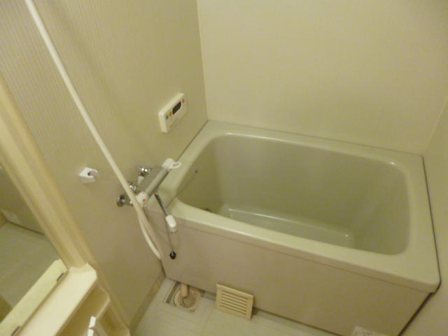 Bath. Reheating function with bath (* ^. ^*)