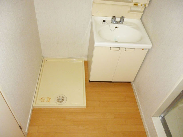 Washroom. Laundry Area