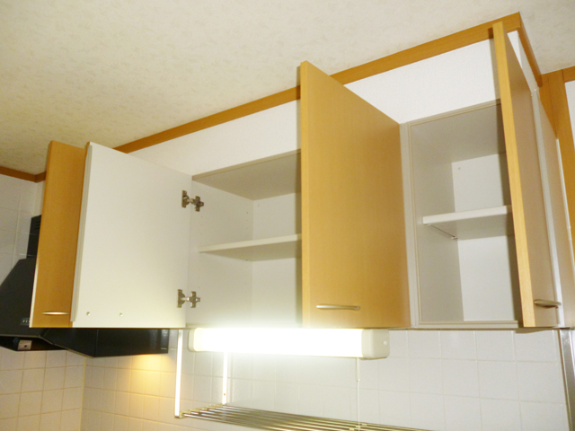 Kitchen. Kitchen storage (above)