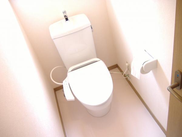 Toilet. Floor cushion floor Chokawa ・ Cross Chokawa ・ Toilet bowl is replaced.