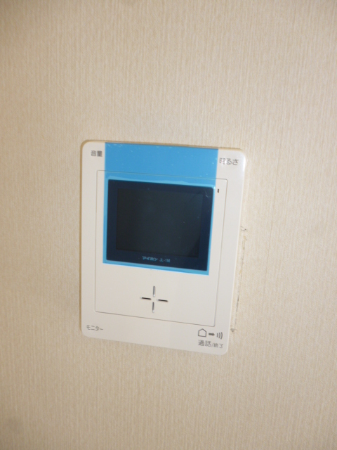 Security. TV monitor phone