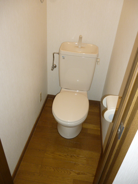 Toilet. Toilet
