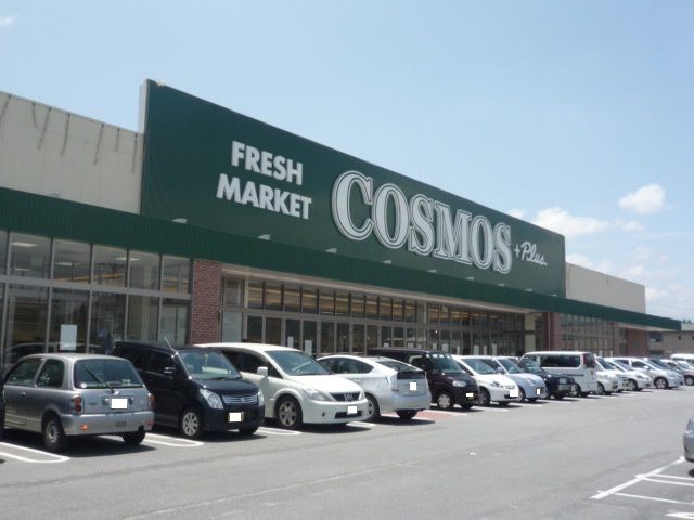 Supermarket. 913m until the cosmos plus Matsusaka store (Super)