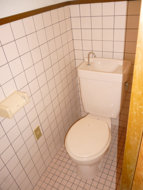 Toilet. There is an electrical outlet in the toilet! It will also put Washlet