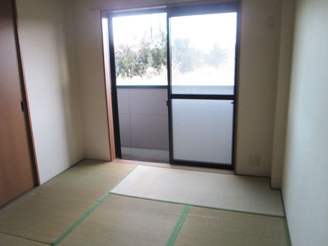 Living and room. Japanese style room