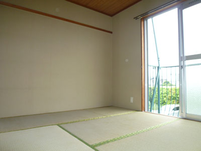 Living and room. Japanese style room