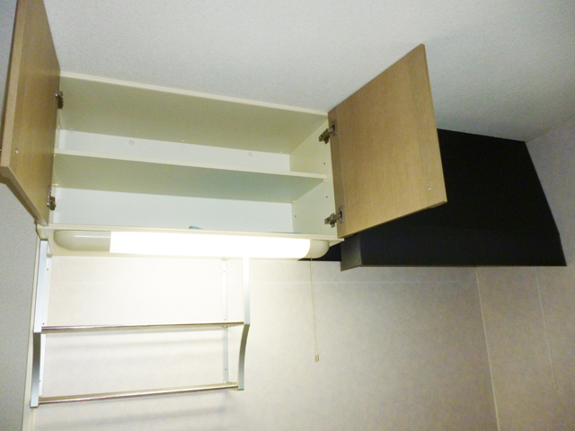 Kitchen. Kitchen storage (above)