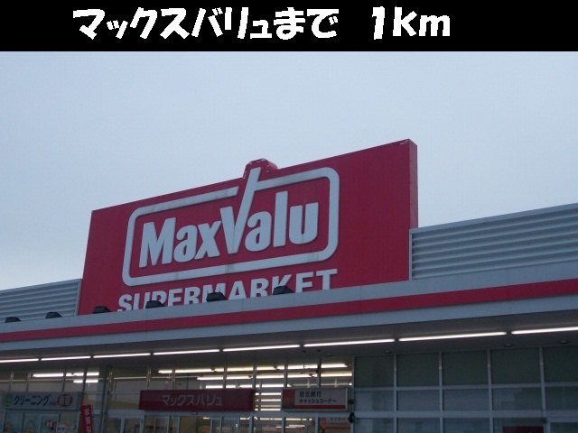 Supermarket. 1000m to Maxvalu (super)