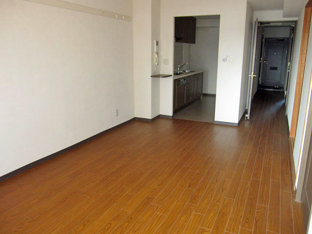 Living and room. LDK