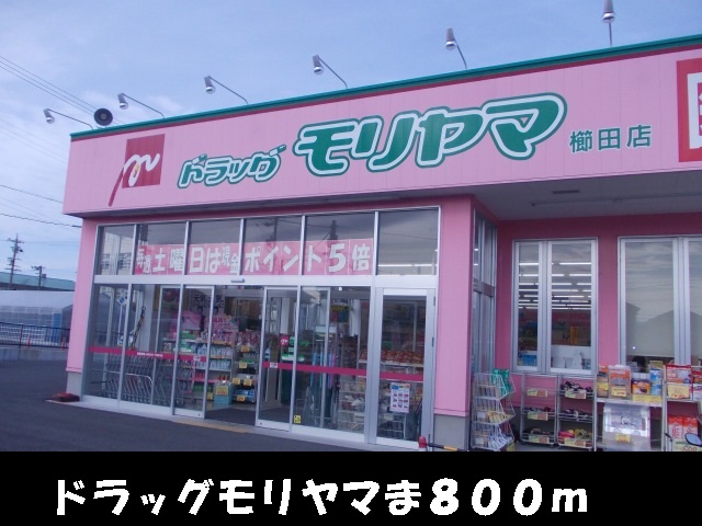 Dorakkusutoa. Drag Moriyama Kushida shop 800m until (drugstore)