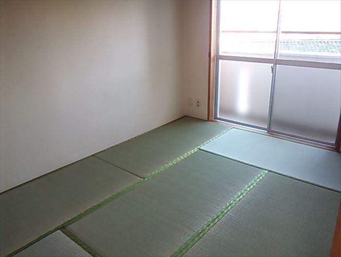 Non-living room. Japanese-style room (1)
