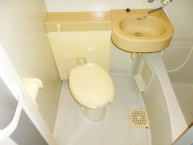 Toilet