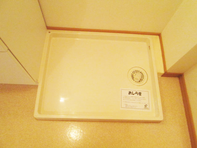 Other room space. Washing machine Storage