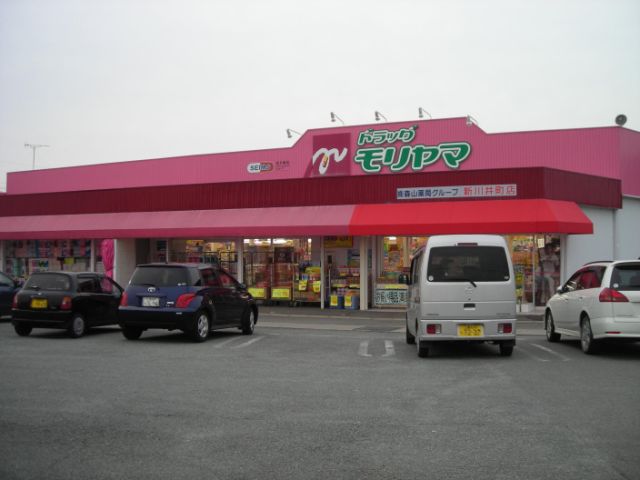 Other. 260m to Moriyama pharmacy (Other)