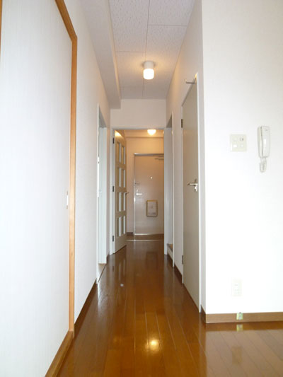 Entrance. Corridor