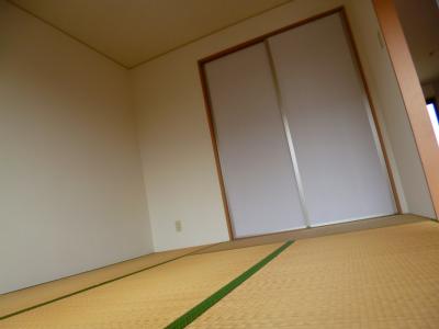 Other room space. Japanese style room