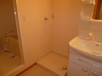 Washroom. With shampoo dresser