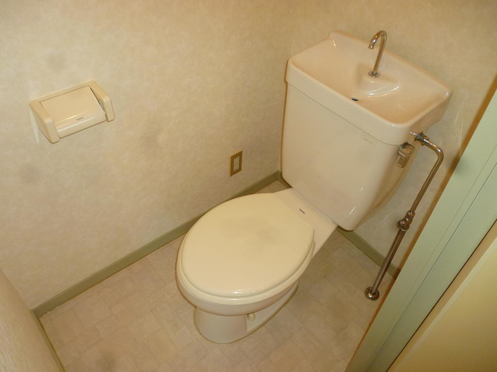 Toilet. It will serve as a model photo of another room of the same properties