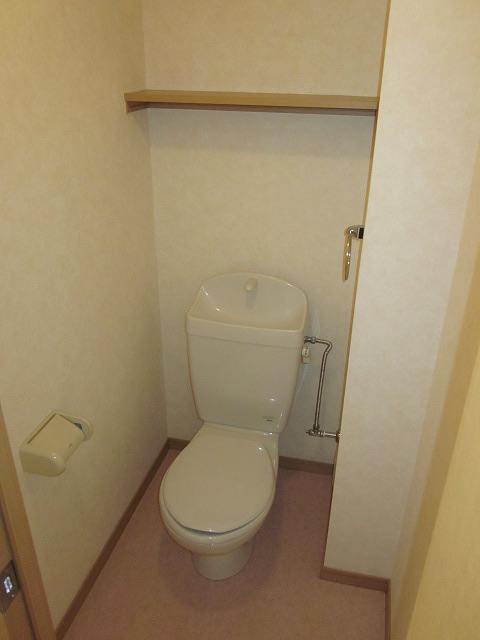 Toilet. With a convenient shelf.