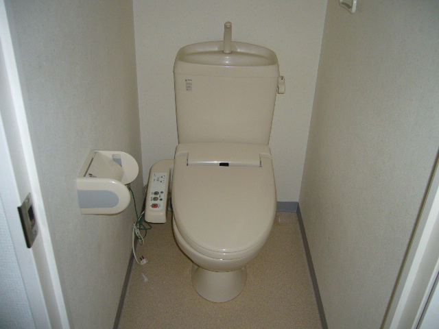 Toilet. Another room image