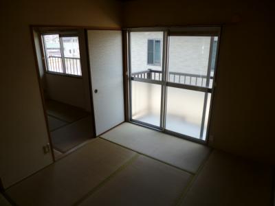 Living and room. Vinyl flooring