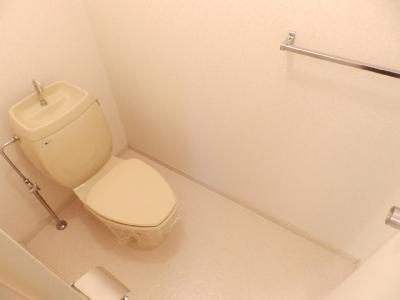 Toilet. Flooring