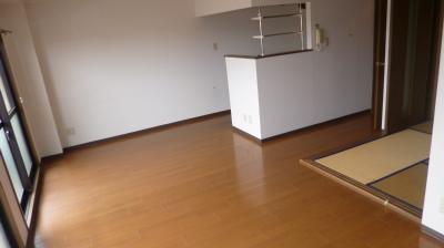Living and room. Flooring
