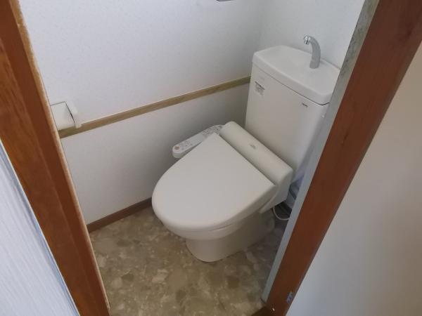 Toilet. Exchange did new bidet toilet.