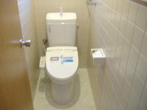 Toilet. Brand new Washlet toilet