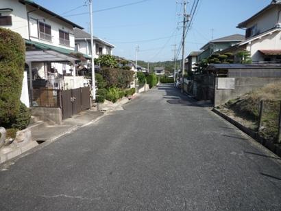 Local photos, including front road. Local (11 May 2013) Shooting