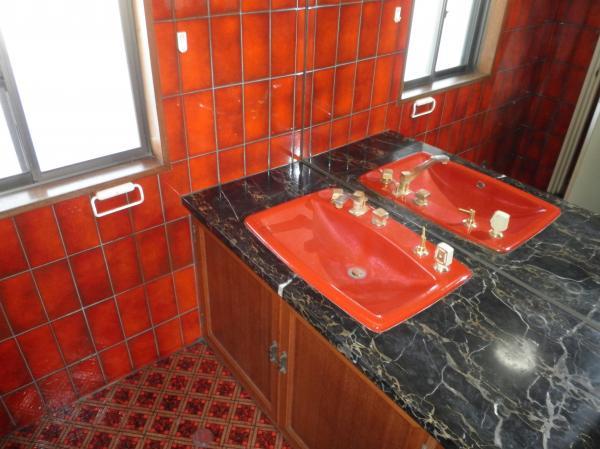 Wash basin, toilet. Appearance of red impressive 2F basin
