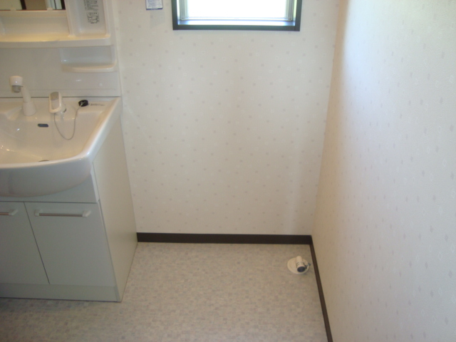 Washroom. Laundry Area