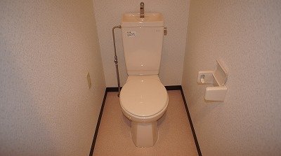 Toilet. WC