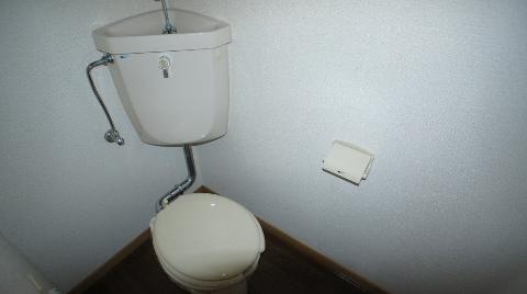 Toilet. WC