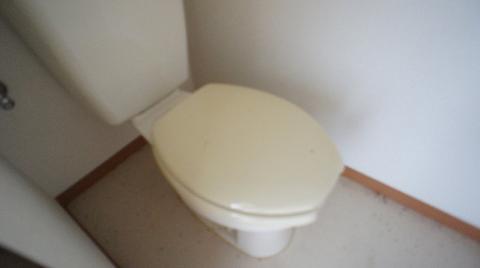 Toilet. WC