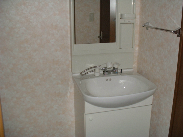 Washroom. It is with vanity (No. 106 room)