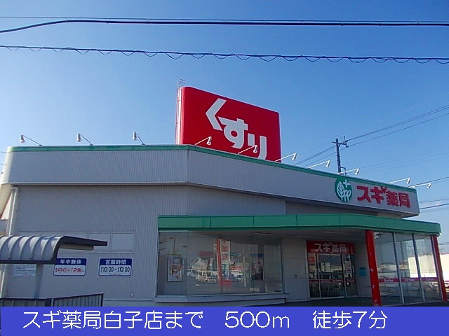 Dorakkusutoa. 500m to cedar pharmacy albino store (drugstore)