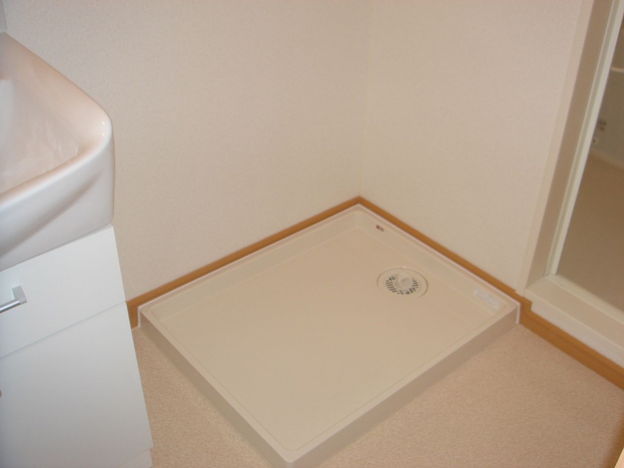 Washroom. Laundry Area